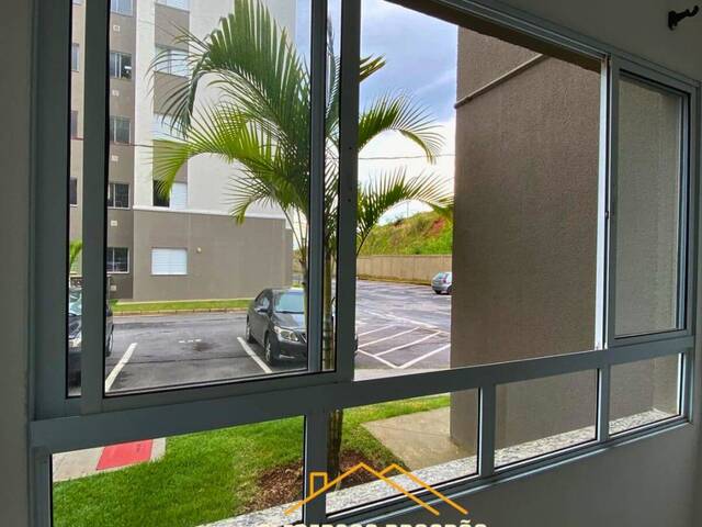 Apartamento para Venda em Pouso Alegre - 4